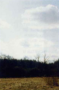 Снимок сделан без фильтра, небо выглядит безжизненно. При попытке пропечатать его плотнее наземная часть пейзажа становится чрезмерно темной.