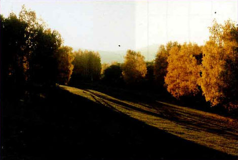 Пейзаж. Сильная световая линия, идущая по диагонали вниз, вызывает грусть.