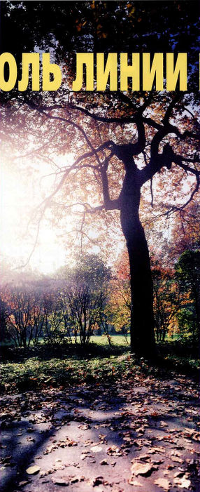 Пейзаж, дерево в парке. Благодаря вертикальному линейному построению снимка дерево смотрится величественно и монументально.