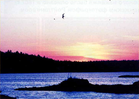 Морской пейзаж. Яркий пример горизонтального линейного построения. Сюжет вызывает ощущение спокойствия.