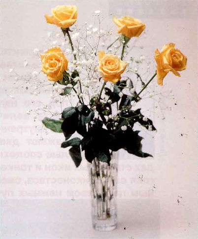 Букет из желтых роз и гипсофилы в хрустальной вазе. Натюрморт (фото: Юрий Родин). Камера Mamiya RB-67, объектив 180 мм, диафрагма f/22, выдержка 1 с, пленка Kodak Ektachrome 50T Professional.