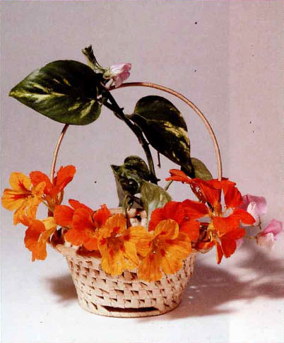 Корзинка с настурция­ми. Натюрморт (фото: Юрий Родин). Камера Mamiya RB-67, объектив 180 мм, диафрагма f/22, выдержка 1 с, пленка Kodak Ektachrome 160T Professional.