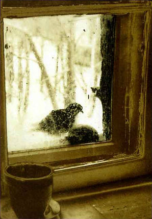 Зимний этюд, окно. Отпечаток частично тонирован.