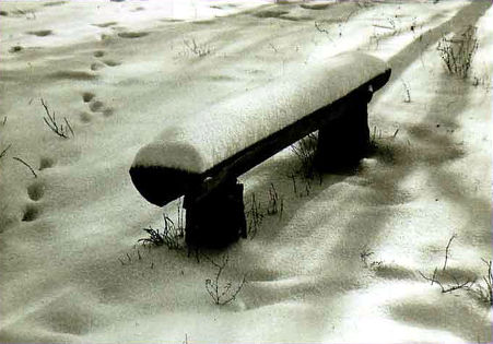 Зимний пейзаж. Утро, лавочка под снегом.