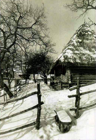 Зимний пейзаж. Заснеженная деревня.