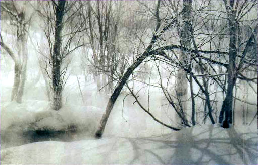 Пейзаж. Туман над речкой в зимней роще. Отпечаток слегка тонирован синим виражом.