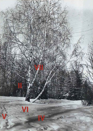 Фото 2. Зимний пейзаж. Пример разделения яркостей объекта по зонам в соответствии с необходимой тональностью.