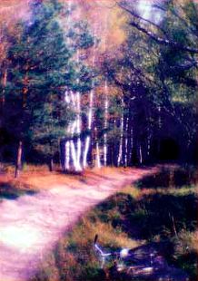 Композиция фотографии. Прикройте снизу пальцами изображение велосипеда — сразу станет ясно, что нарушение правил построения такого сюжета привело к печальному результату: композиция получилась неравновесной. Убрав снизу 1/3 кадра, можно получить весьма добротную композицию, но снимок станет скучнее, так как у зрителя исчезнет иллюзия собственного присутствия у обочины.