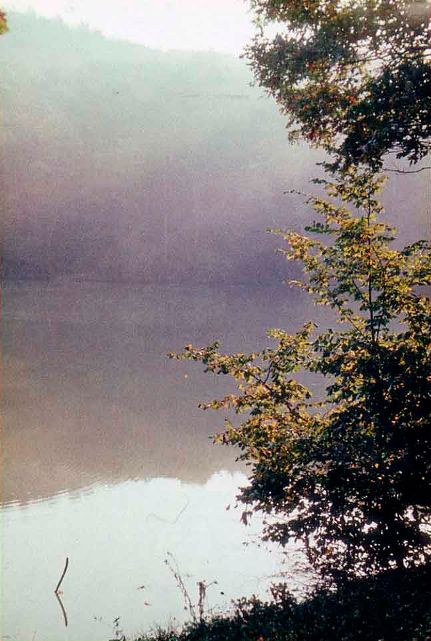 Световой рисунок фотоснимка. «На восходе солнца». Нормальный объектив, диафрагма 5,6, без светофильтра. Сентябрь, раннее утро.