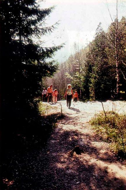 Световой рисунок фотоснимка. «Туристской тропой». Широкоугольный объектив, диафрагма 8, светофильтр УФ-1,0х. Сентябрь, 14 часов.