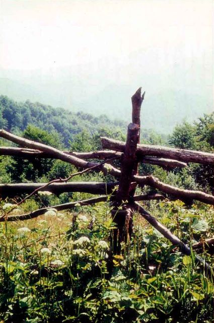 Световой рисунок фотоснимка. «В Карпатах». Нормальный объектив, диафрагма 8, светофильтр УФ-1,0x. Июнь, около полудня.
