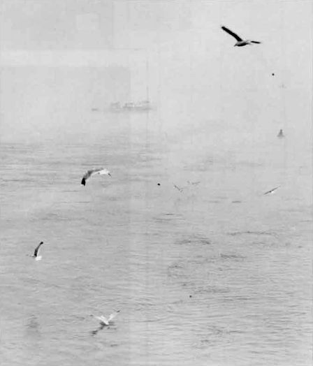 Нормальный объектив, f/8, голубой светофильтр, пленка 130 ед. ГОСТа. Июль, 6 часов утра. Съемка производилась с верхней палубы теплохода, когда все суда стояли на якоре из-за сильного тумана. Через 10—15 минут после съемки появившийся слабый ветер развеял туман, и общая картина уже не представляла никакого интереса для съемок.