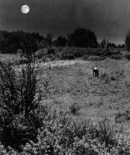 Снимок сделан с двух разных негативов путем последовательной печати двух изображении на один лист фотобумаги. Основной сюжет снят в полдень широкоугольным объективом. Оранжевый светофильтр, f/11, пленка 130 ед. ГОСТа. Середина июля. Полная луна была сфотографирована в городских условиях телеобъективом на пленку 130 ед. ГОСТа, f/8, выдержка 1/125 с.