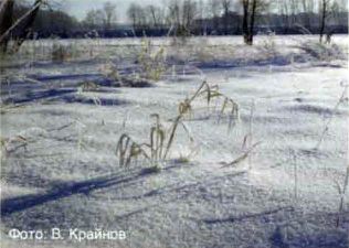 Фото. В. Крайнова, камера Contax 167 MT.