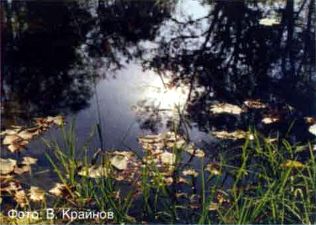 Фото. В. Крайнова, камера Contax 167 MT.