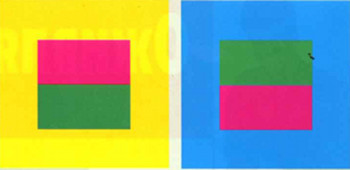 Рис. 2. Одновременный цеветовой контраст.