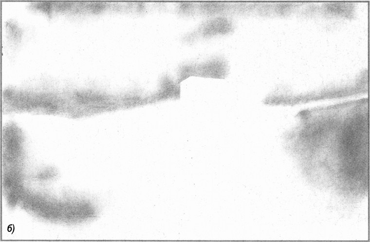 Фото 3. Без названия: б) расположение пятен тональной ретуши на первом отпечатке.