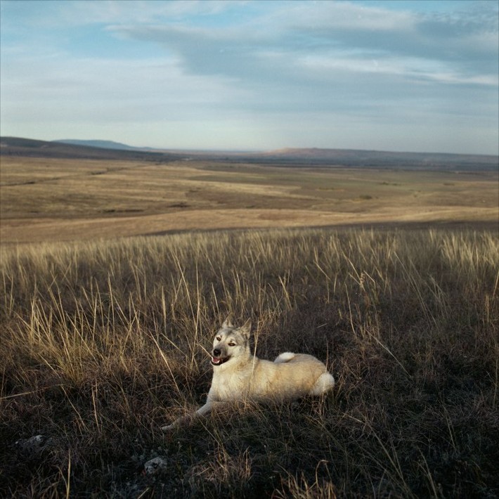 Фото: Андрей Карачун