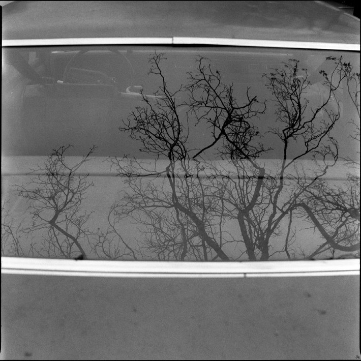 Фото: Андрей Карачун