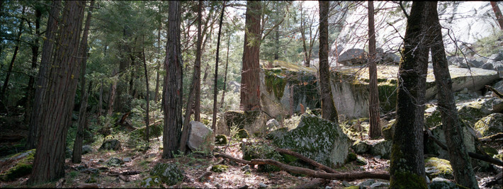 Фото: Андрей Карачун. Камера Fujifilm TX-1.