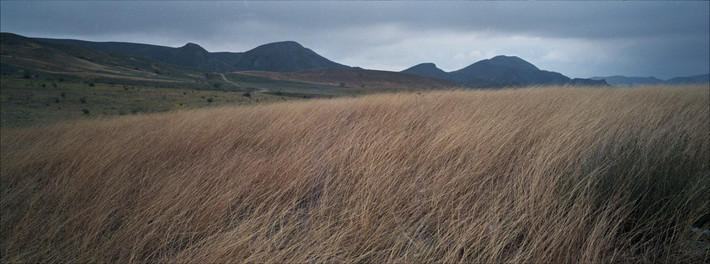 Фото: Андрей Карачун. Камера Fujifilm TX-1.