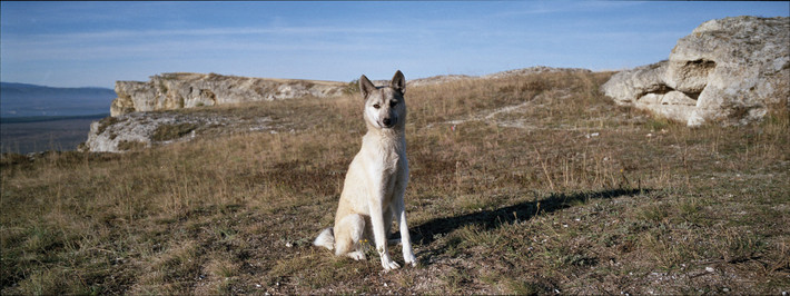 Фото: Андрей Карачун. Камера Fujifilm TX-1.