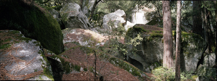 Фото: Андрей Карачун. Камера Fujifilm TX-1.