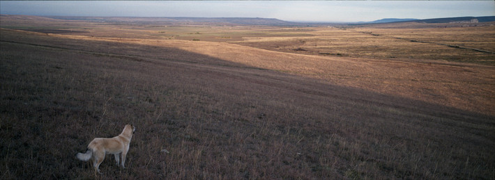 Фото: Андрей Карачун. Камера Fujifilm TX-1.