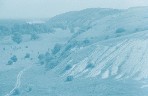 Отсканированный «цветной» негатив нормальной плотности (ч/б негатив c наложенным отрезком неэкспонированной цветной негативной пленки с маской).