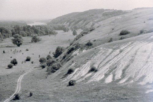 Отсканированный «цветной» негатив нормальной плотности с коррекцией маски.