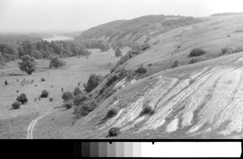 Черно-белый негатив нормальной плотности, отсканированный с деапазоном плотностей 1,0.