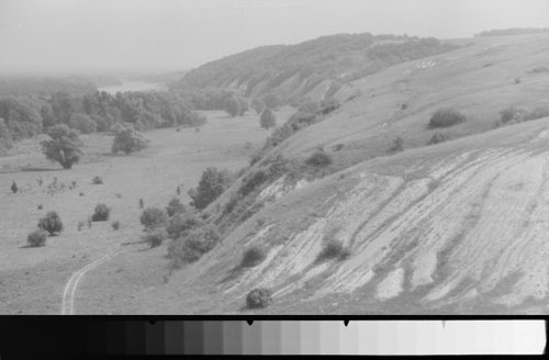 Черно-белый негатив нормальной плотности, отсканированный с деапазоном плотностей 2,0.