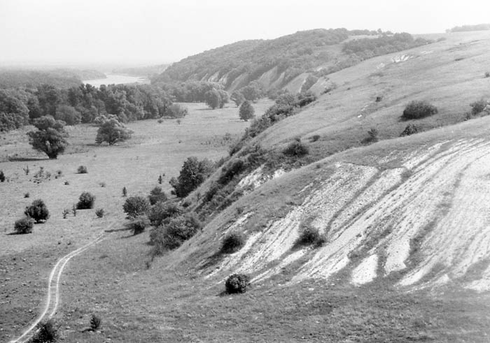 Отсканированный черно-белый негатив нормальной плотности.