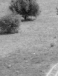 Сканирование ч/б негатива (без маск­и). Отсутствие шумов в синем канале.