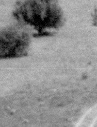 Сканирование цветного негатива с маской. Шумы в красном канале.