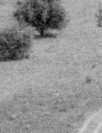 Сканирование цветного негатива с маской. Шумы в синем канале.