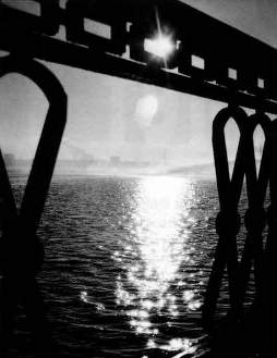 Изображение лепестков диафрагмы при съемке солнца появилось вследствие неполного открытия диафрагмы.