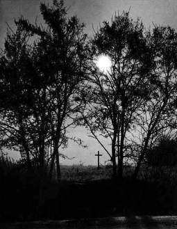 Увеличение размера солнечного диска достигнуто путем его съемки через ветви дерева.