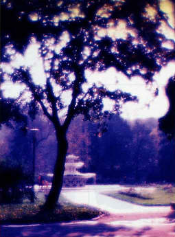 Живописный рисунок при съемке солнца может дать применение монокля.