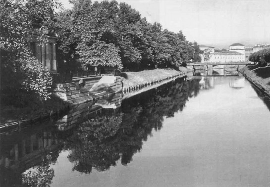 Фото 1. Пример композиционно неорганизованного снимка.