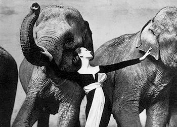 Фото Ричарда Аведона